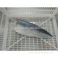 Chinese Frozen Seafood Mackerel Fillet With EU Standard